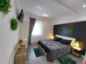 Pensiunea Ideal Băile Borşa